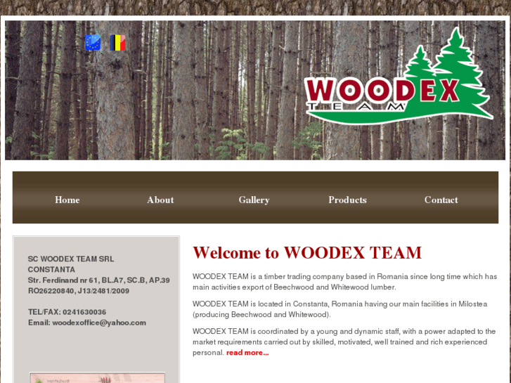 www.woodexteam.com