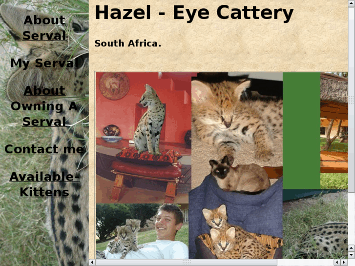 www.african-serval.com