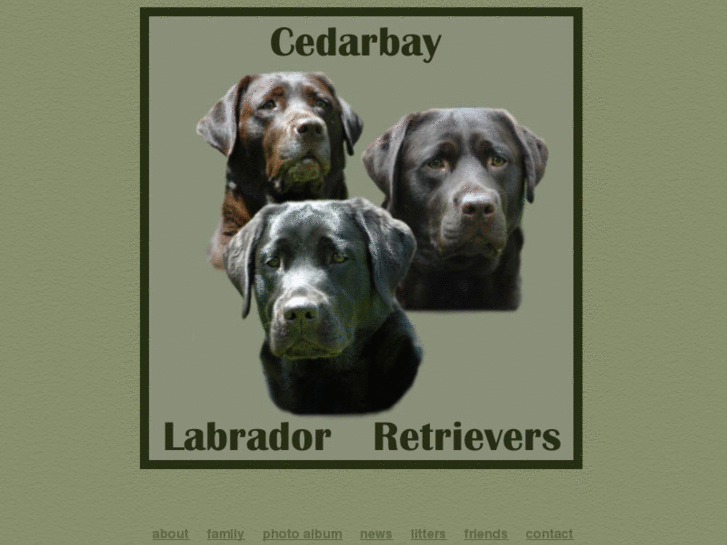www.cedarbaylabs.com
