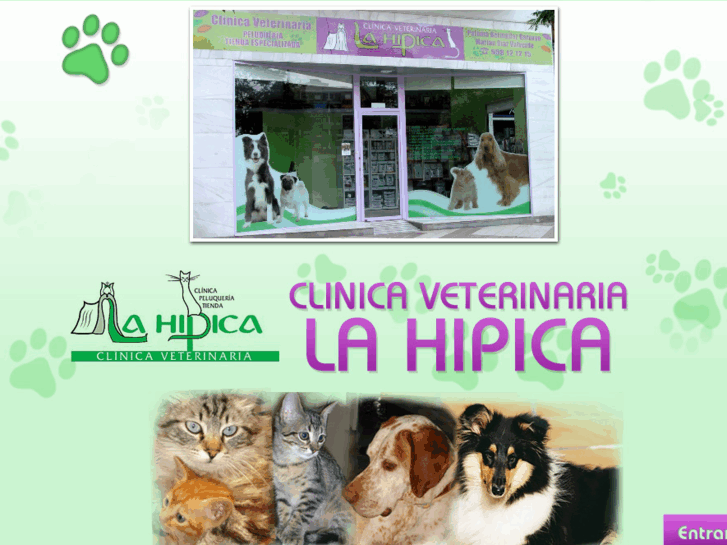 www.clinicaveterinarialahipica.es