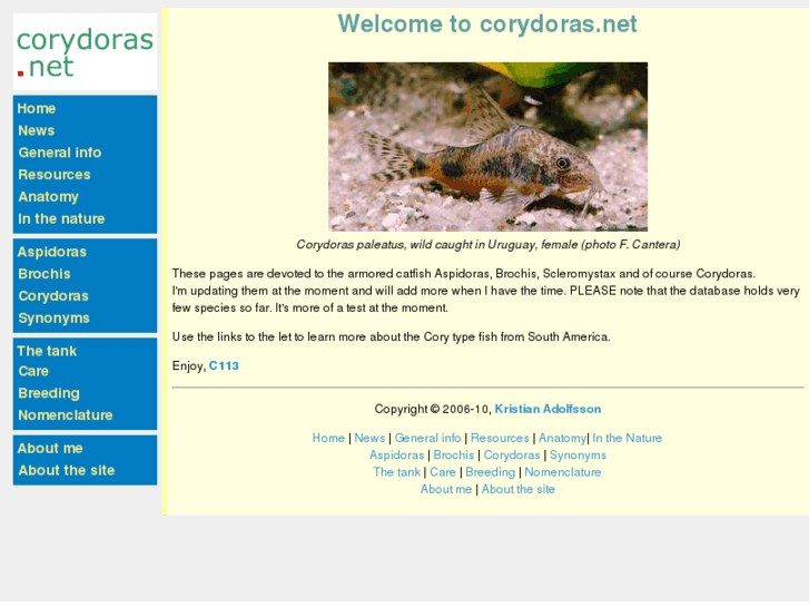 www.corydoras.net