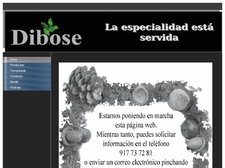 www.dibose.es