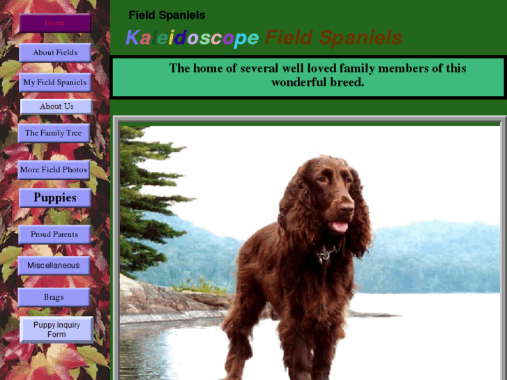 www.fieldspanielsatkaleidoscope.com