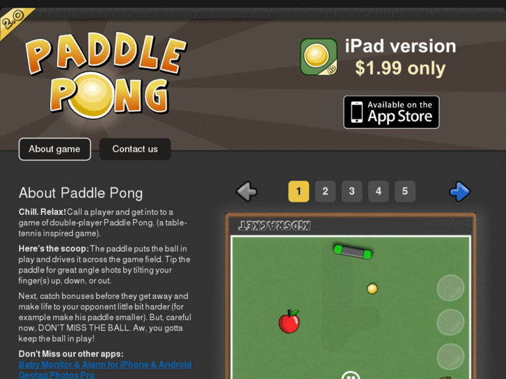 www.paddleponggame.com