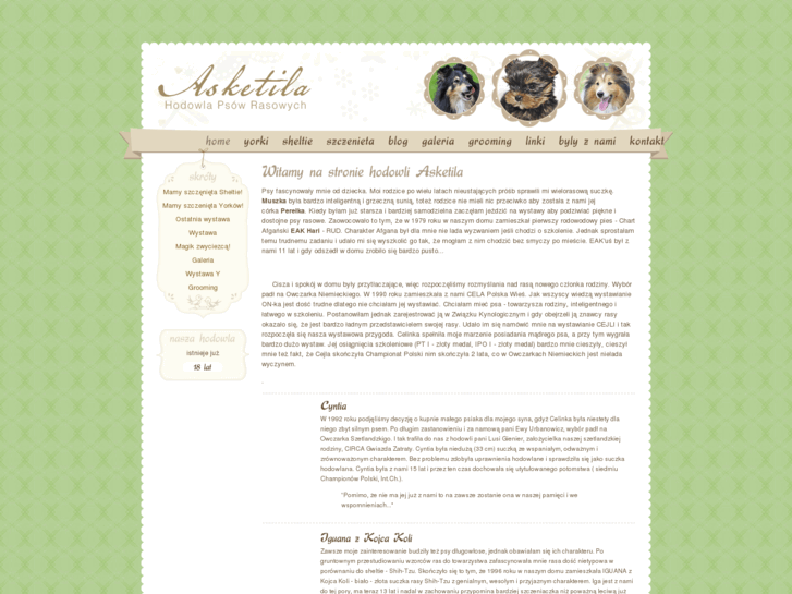 www.asketila.com