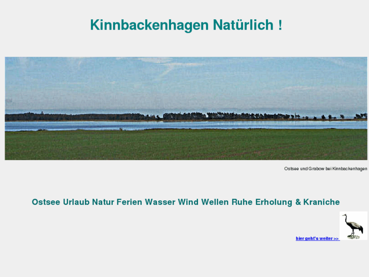 www.kinnbackenhagen.info