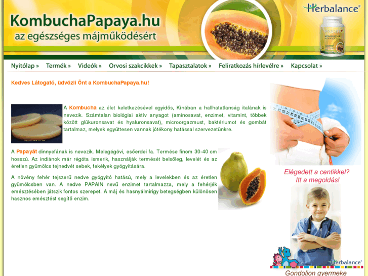 www.kombuchapapaya.com