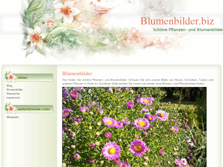 www.blumenbilder.biz