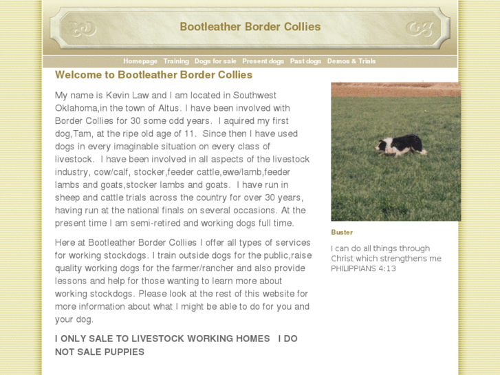 www.bootleatherbordercollies.com