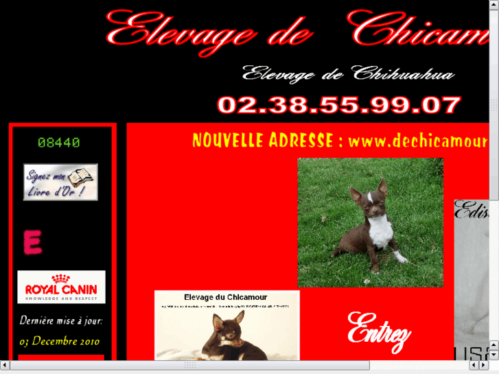 www.cavalierkingcharles-chihuahua.com