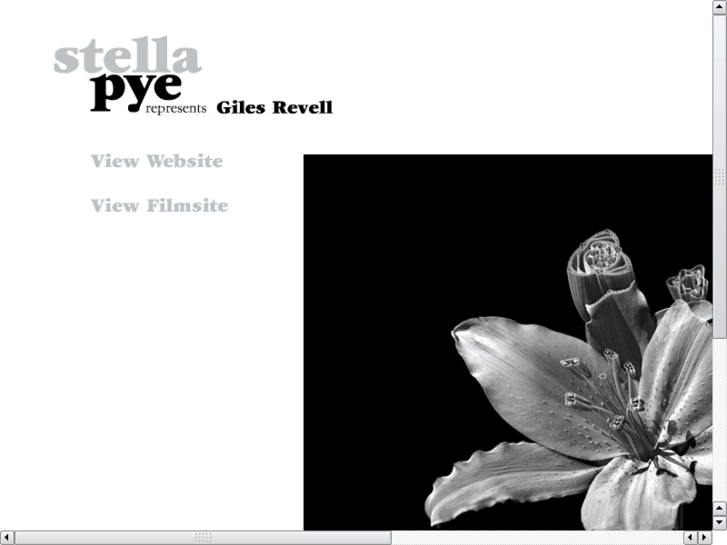 www.stellapye.com