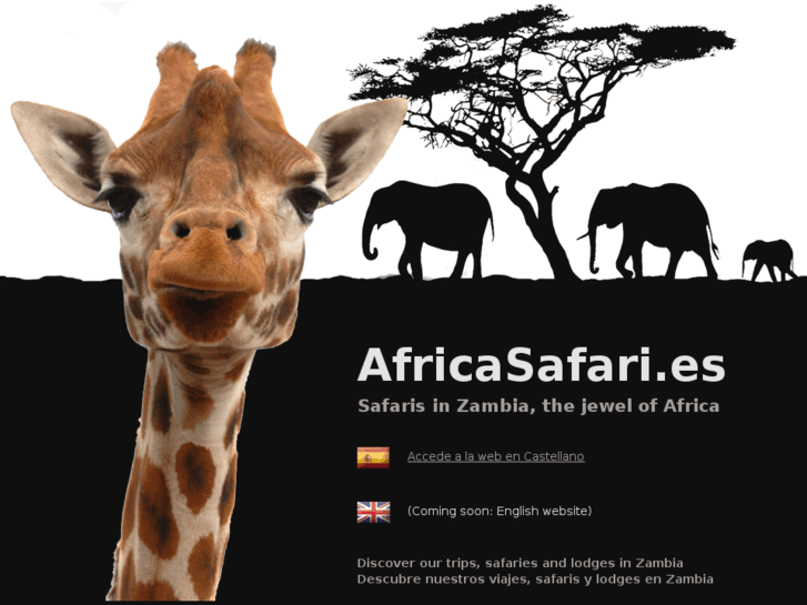 www.africasafari.es