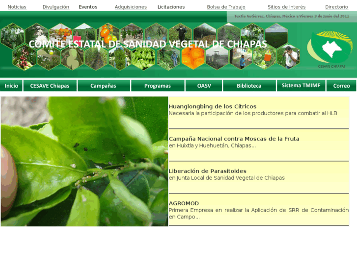 www.cesavechiapas.org.mx