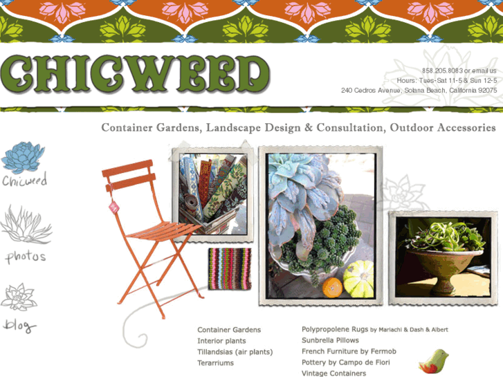 www.chicweed.com