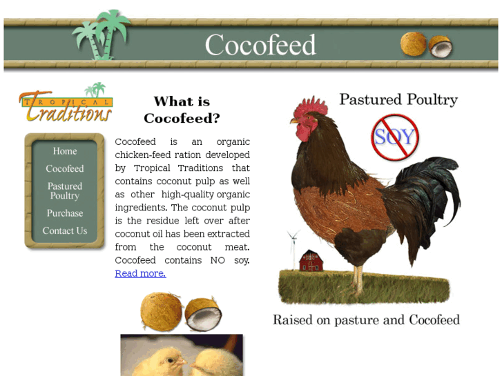 www.cocofeed.com