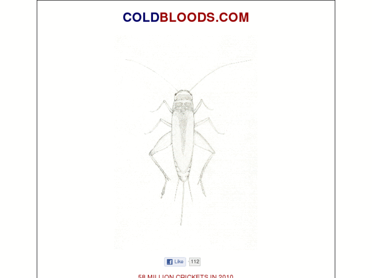 www.coldbloods.com