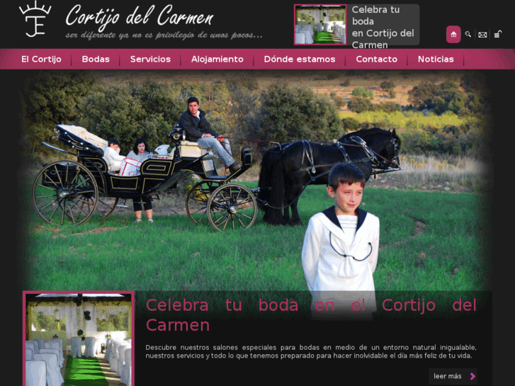 www.cortijodelcarmen.es