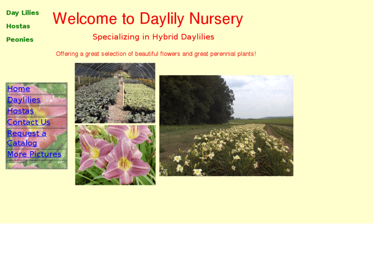 www.daylilynursery.com