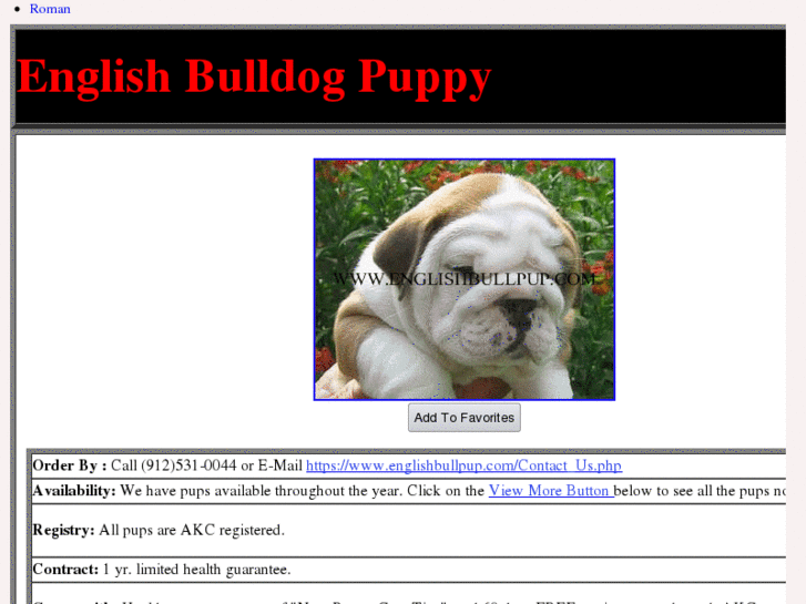 www.englishbullpup.net