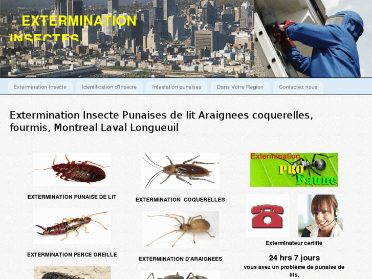 www.extermination-insecte.com