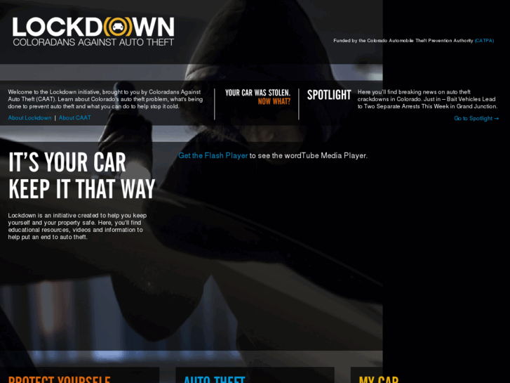 www.lockdownautotheft.com