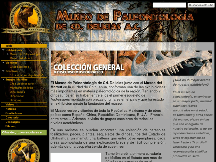 www.museodepaleontologia.com