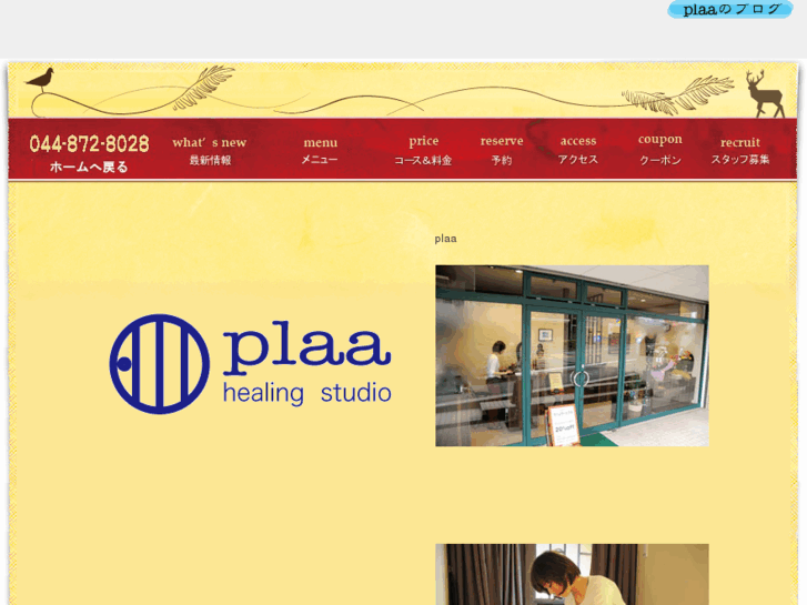 www.plaa.co.jp