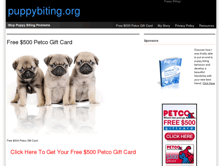 www.puppybiting.org