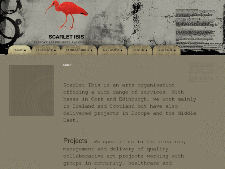 www.scarletibis.org