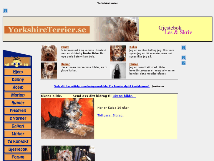 www.yorkshire-terrierweb.com