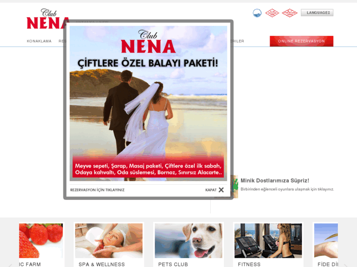 www.clubnena.com.tr