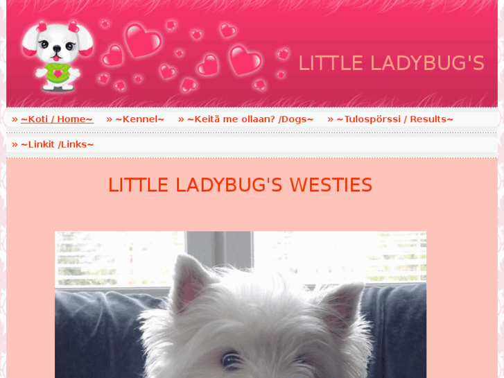 www.littleladybugs.net