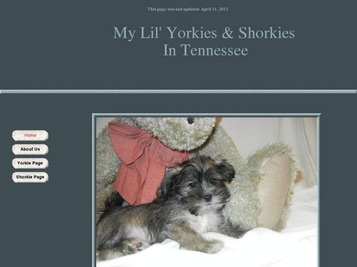 www.littleyorkiesandshorkies.com