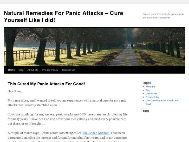 www.naturalremediesforpanicattackstoday.com