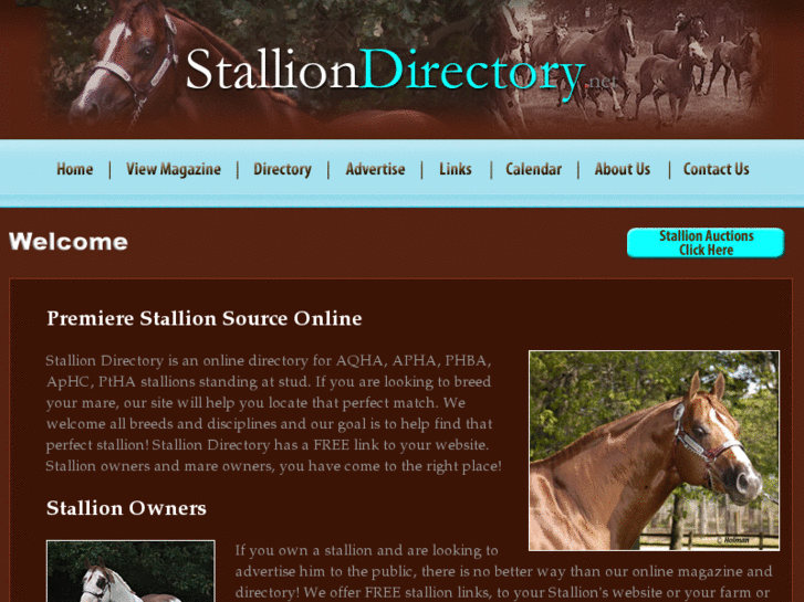 www.stalliondirectory.net