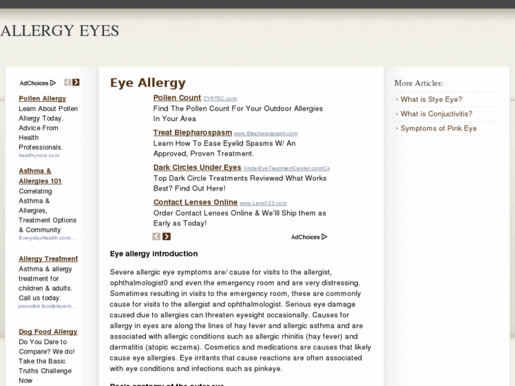 www.allergyeyes.net