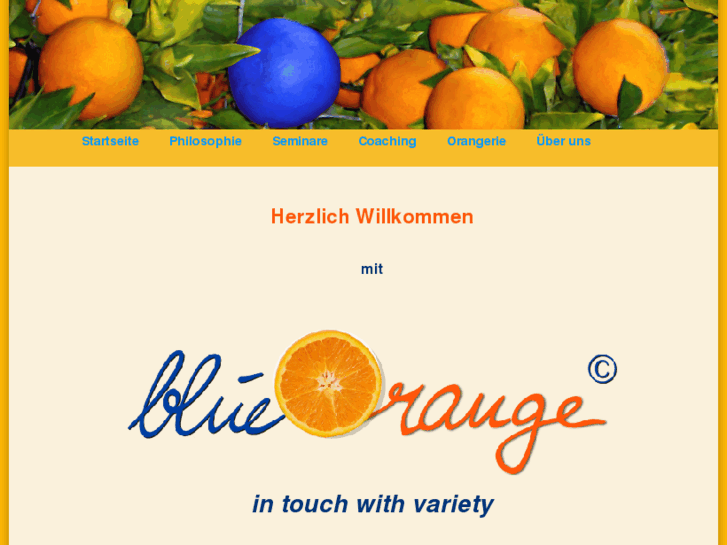 www.blue-orange.de