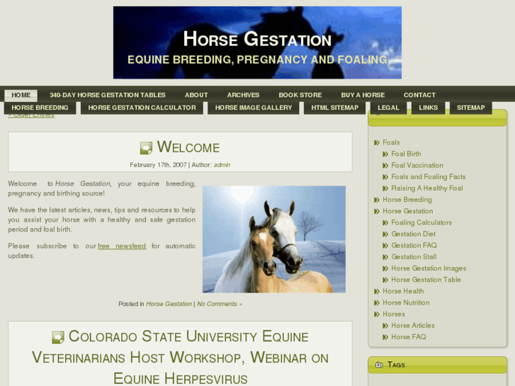 www.horsegestation.com