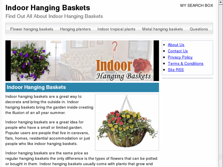 www.indoor-hanging-baskets.com