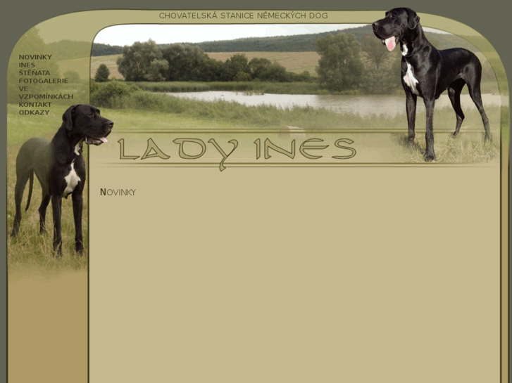 www.ladyines.cz