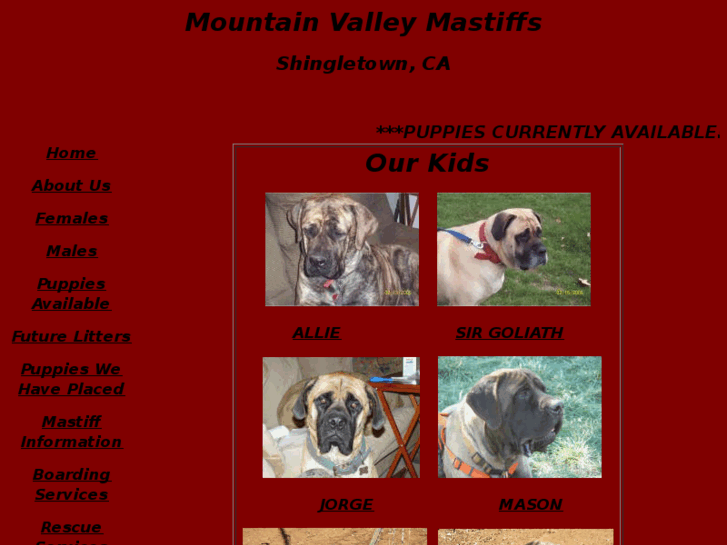 www.mountainvalleymastiffs.com