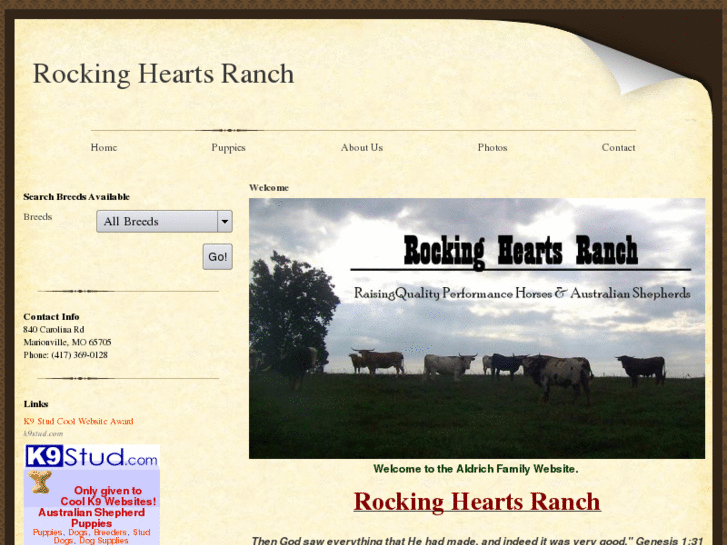 www.rockinghearts.com