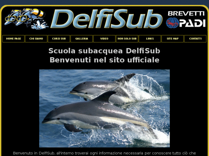 www.delfisub.com