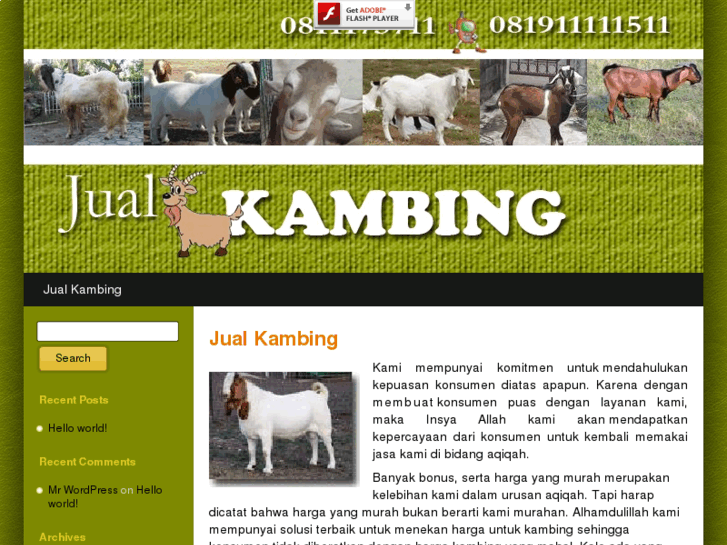 www.jualkambing.net