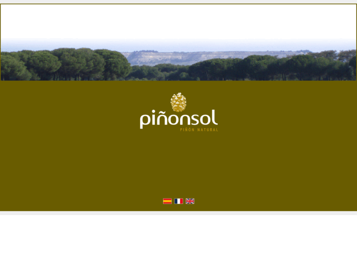 www.pinonsol.com