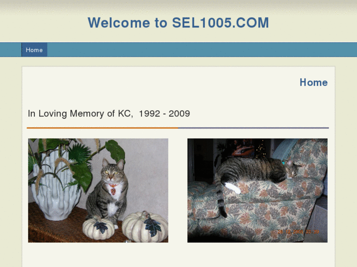 www.sel1005.com