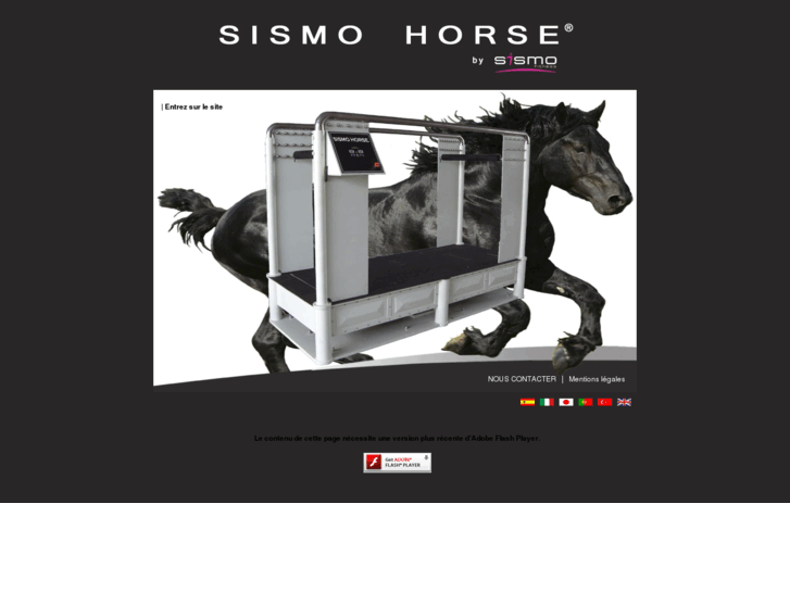 www.sismohorse.com