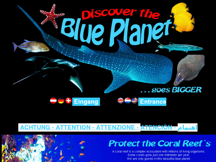 www.discover-the-blue.com