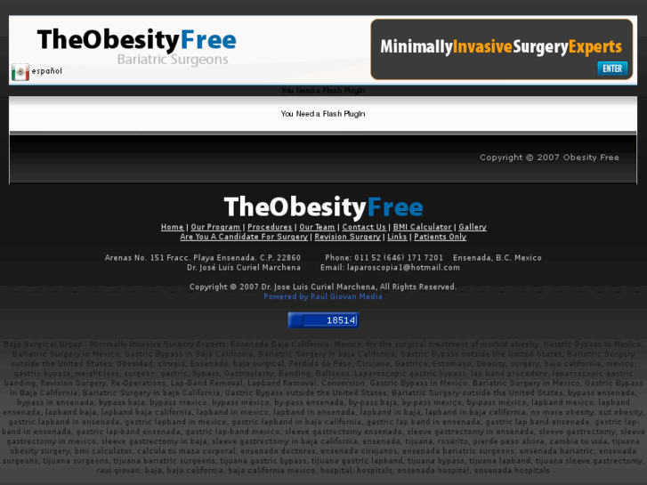 www.theobesityfree.com