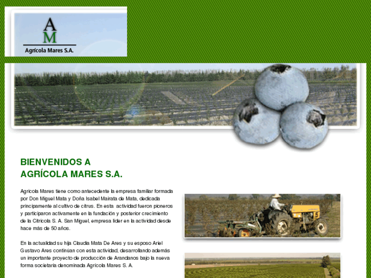 www.agricolamares.com